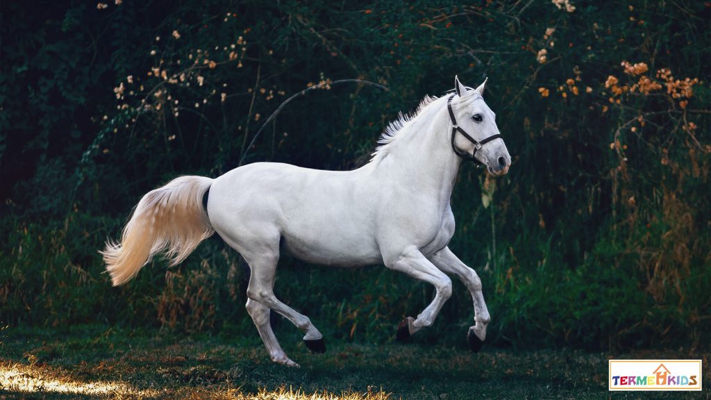 horses Termeh Kids 2 1024x576 - کودکان را با اسب‌ها آشنا کنید!